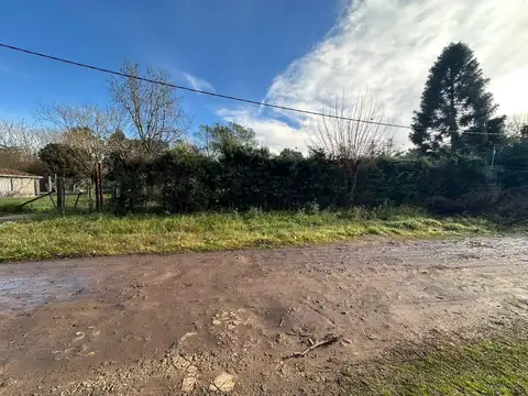 F. Castañeda al 1000