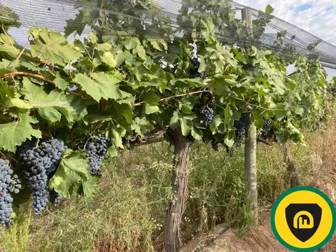 Calle Chacón y barrio Las Colectivas