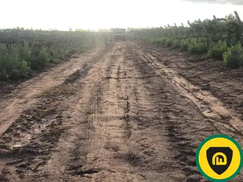 Calle Chacón y barrio Las Colectivas