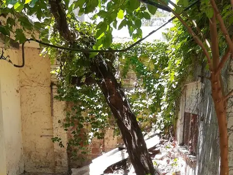 JUAN AGUSTIN MAZA 3200