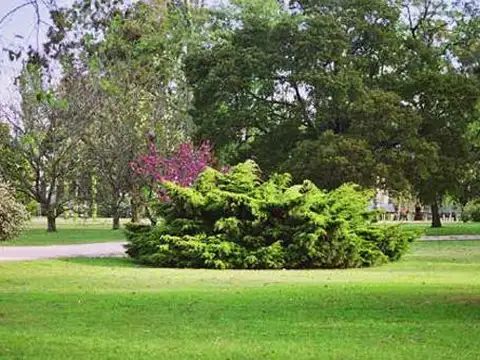 Venta Terreno El Metejón Cañuelas