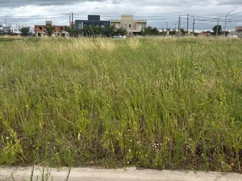 Terreno en Venta en Barrio Norte, USD 20.000