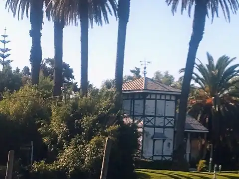 Entrada n° 8