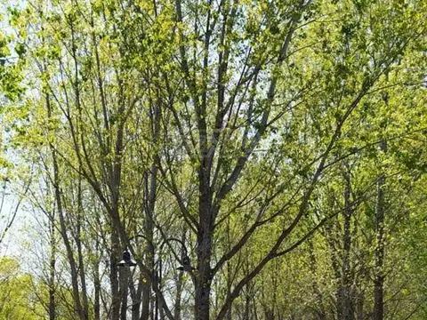 RUTA 24 Y AV CORRIENTES , Piso 0