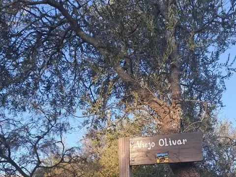 Campo en Venta de 0,30  ha