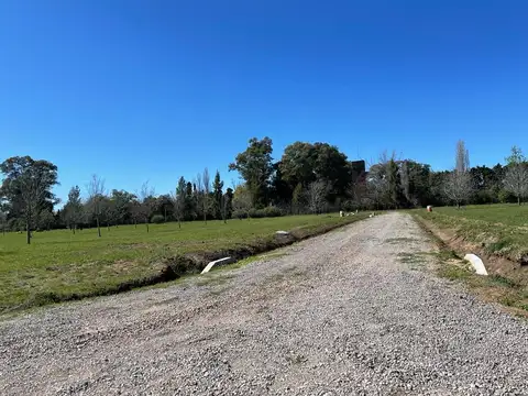 Terreno en Venta de 920,0 m2
