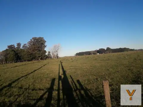 Campo venta -3 Hectáreas- Alegre