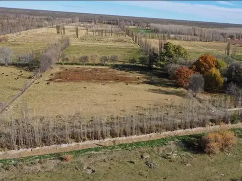 PROPIEDADES RURALES - CHACRA - GENERAL CONESA