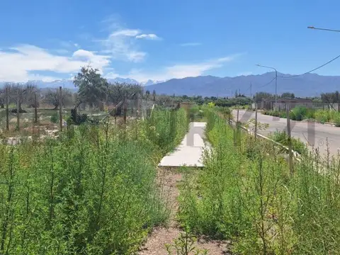 Terreno en Venta en Vistalba, USD 20.000