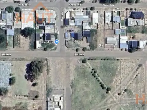 pehuen al 400