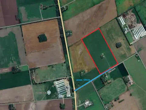 Quinta en Venta de 5 dormitorios