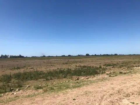 Terreno en Venta de 520000,0 m2