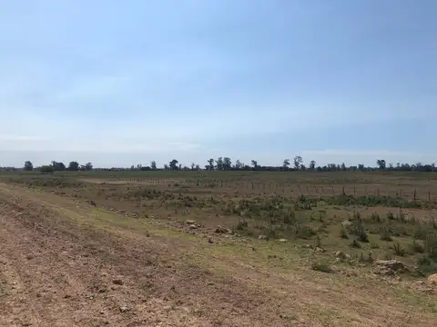 Terreno en Venta en San Vicente, USD 790.000