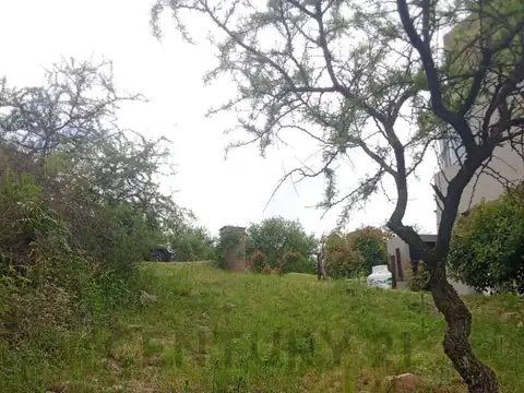 Terreno en Venta 16,39  mts Fondo