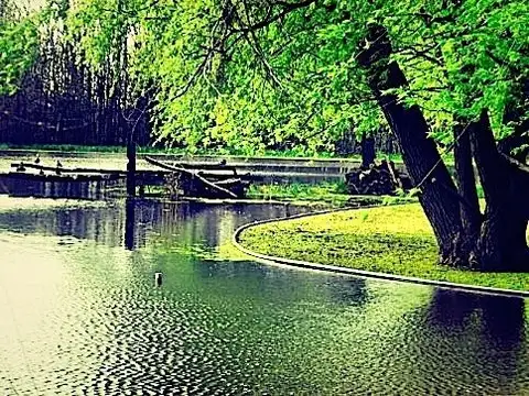 Campo en Venta de 25  ha