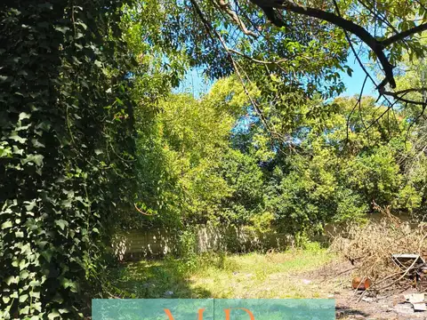 Argentinidad al 1200