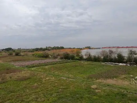 520 y 183