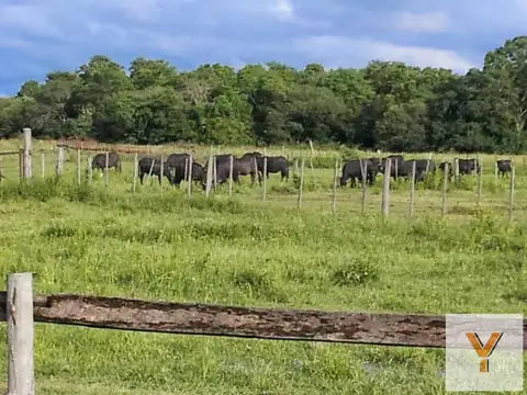 Campo en venta - 230Mts2 - Formosa