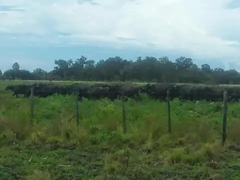 Campo en venta - 230Mts2 - Formosa