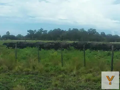 Campo en venta - 230Mts2 - Formosa