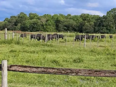 Campo en venta - 230Mts2 - Formosa