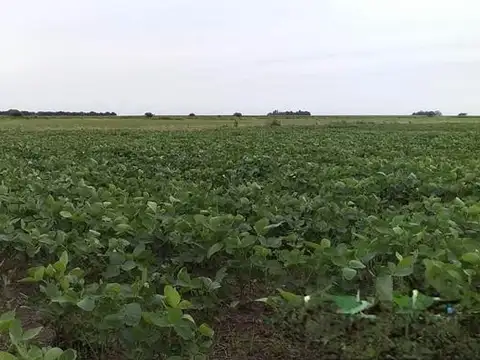 CAMPO EN VENTA