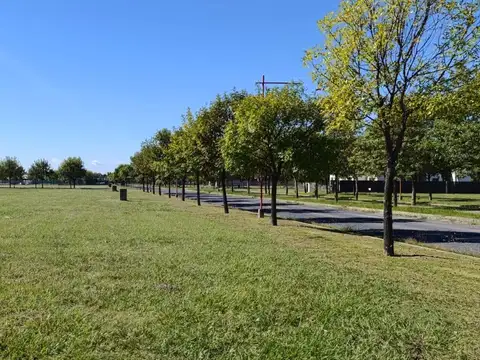 Terreno en Venta 44  mts Fondo