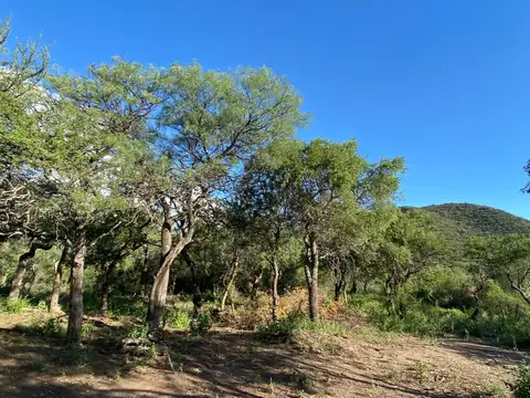 Terreno en Venta de 2000,0 m2