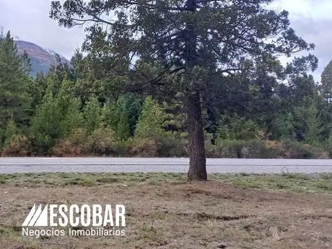 Terreno en Venta 11.000  mts Frente