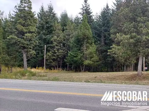 Terreno a la vera de la ruta 40 a 3 km de El Bolson. Ideal inversion