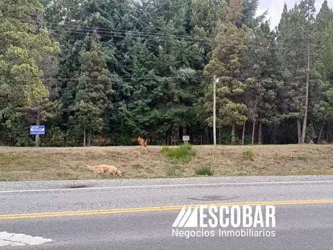 Terreno en Venta en El Bolson, USD 60.000
