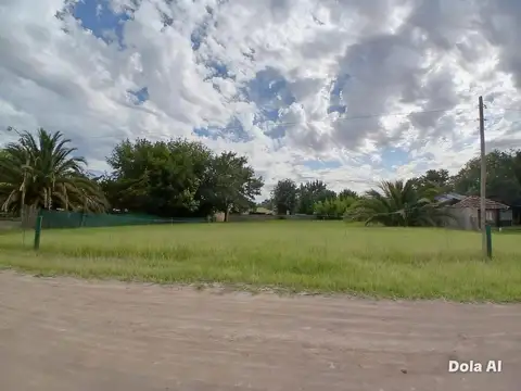 Ortiz De Rosas Y 115
