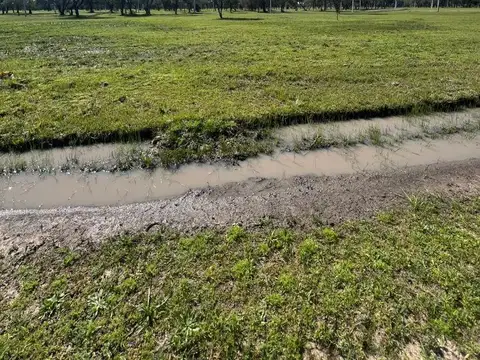 Terreno en Venta 19  mts Frente