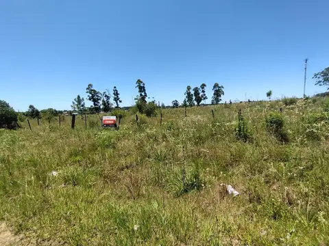 Ruta 22