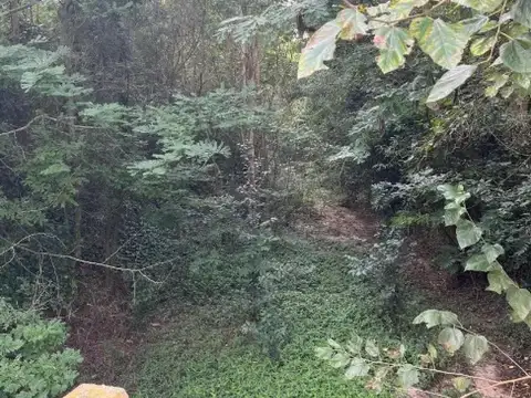 Terreno en Venta en Colonia Santa Ana, USD 92.000