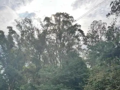 Terreno en Venta en Colonia Santa Ana, USD 92.000