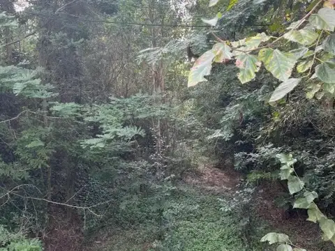 Terreno en Venta en Colonia Santa Ana, USD 92.000