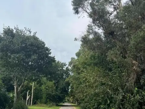 Terreno en venta - 1.200Mts2 - Santa Ana