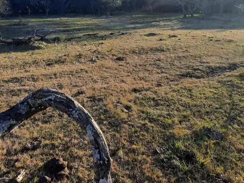 Campo - Costa Del Uruguay