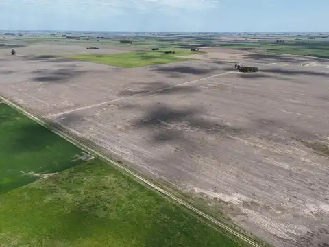 Campo agricola y ganadero