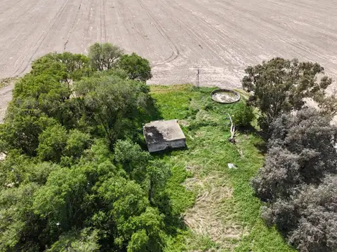 Campo agricola y ganadero