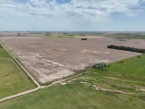 Campo agricola y ganadero