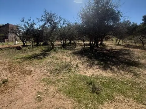 Terreno en Venta de 1600,0 m2