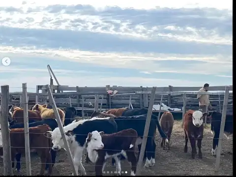 Ruta Provincial 17 km Carlos Tejedor Map:  35.254391,-62.400564