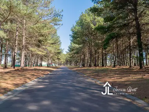 pinares golf country club