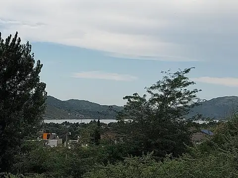 Consultar dirección