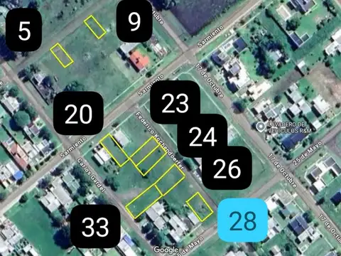 Hasenkamp 100