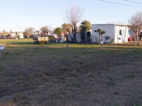 En Entre Rios |  Hasenkamp -  Lotes, N° 5