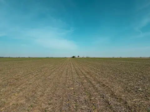 Campo de 35 has sobre ruta con gran potencial productivo