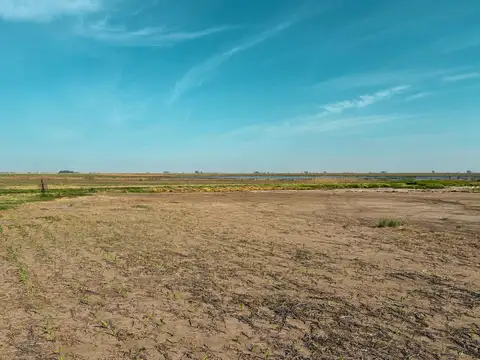 Campo de 35 has sobre ruta con gran potencial productivo